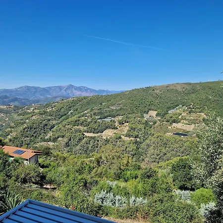 With A Beautiful View In * سيبورجا